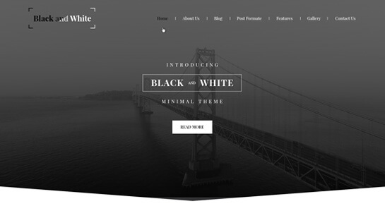 black and white WordPress theme