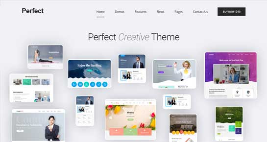 commercial WordPress theme