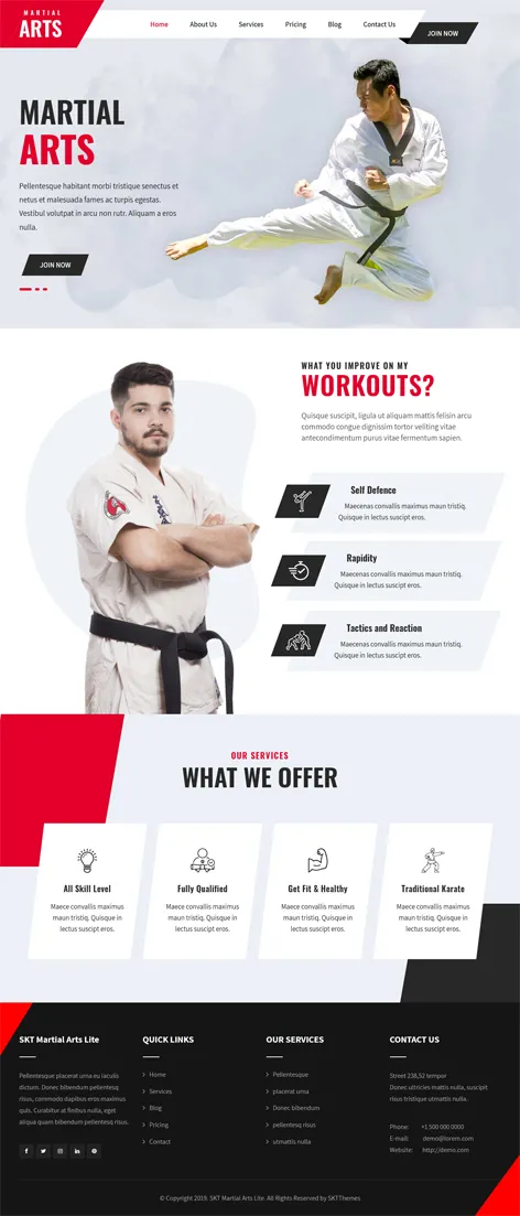 Martial Arts Lite - Free martial arts WordPress theme