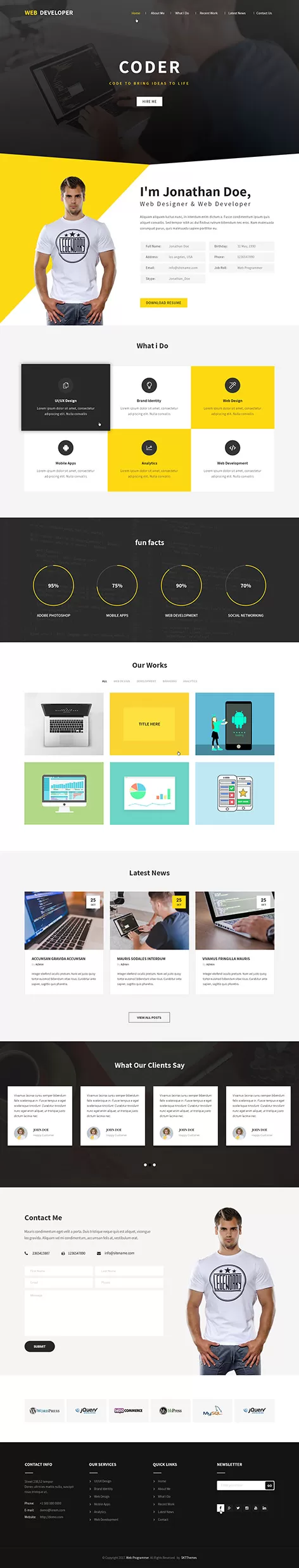 Web Programmer - Programmer WordPress theme